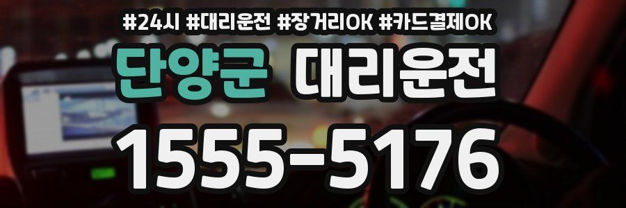 단양군 대리운전