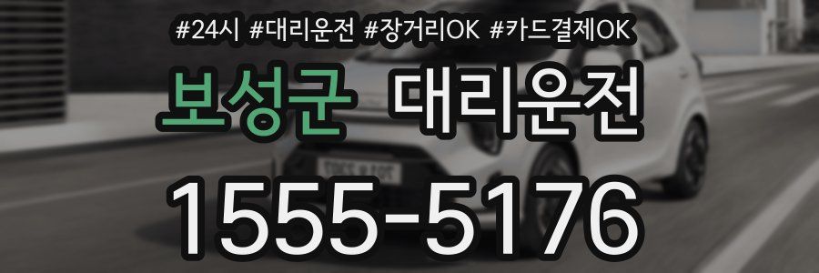 보성군 대리운전
