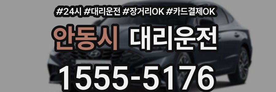 안동시 대리운전