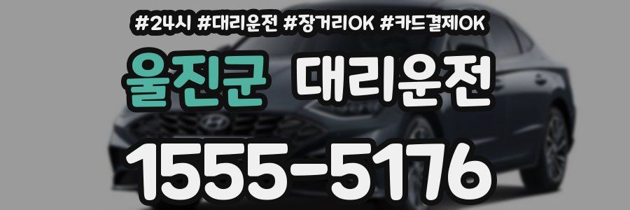 울진군 대리운전