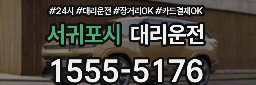 서귀포시 대리운전