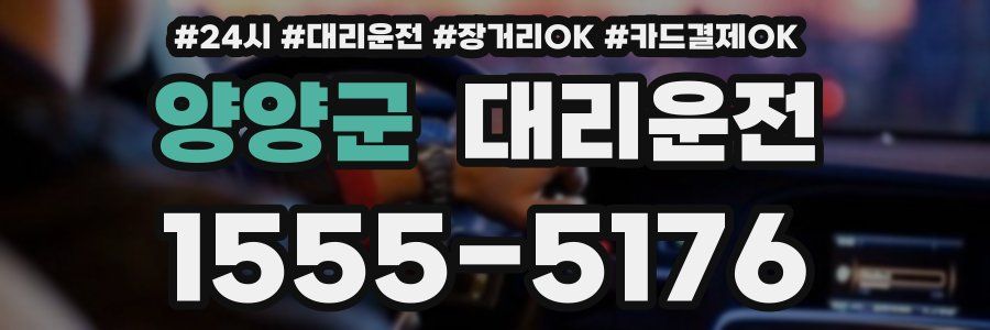 양양군 대리운전