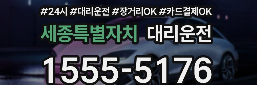 세종특별자치 대리운전