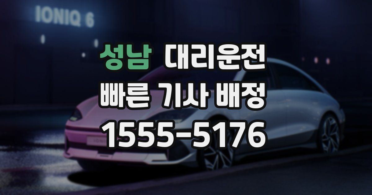 일일대리기사
