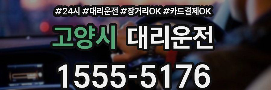 고양시 대리운전