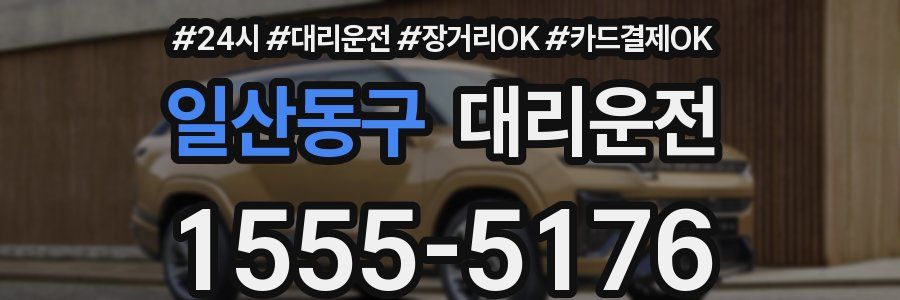 일산동구 대리운전
