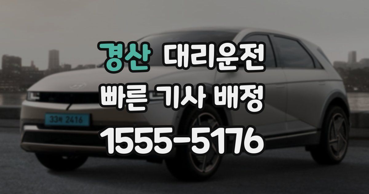 일일대리기사