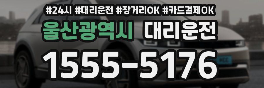 울산광역시 대리운전