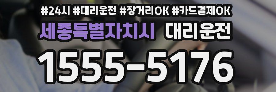 세종특별자치시 대리운전