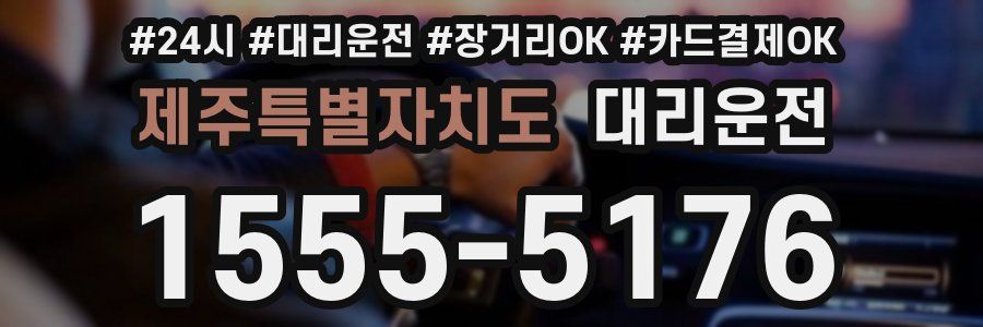 제주특별자치도 대리운전