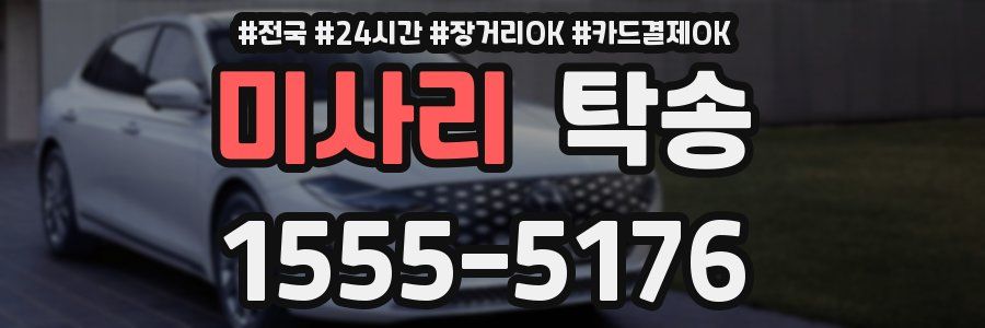 미사리 탁송