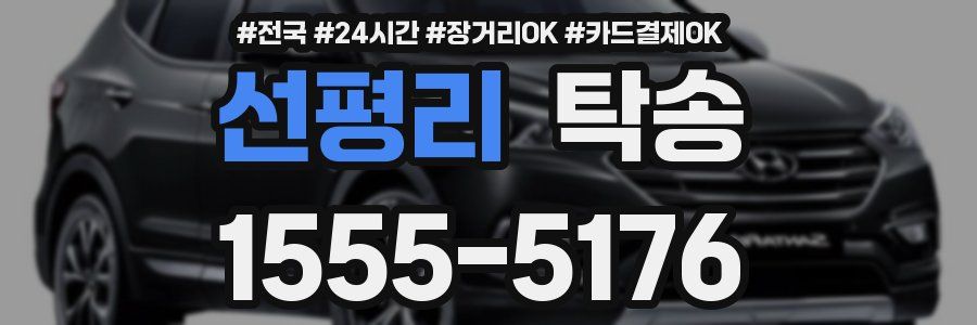 선평리 탁송