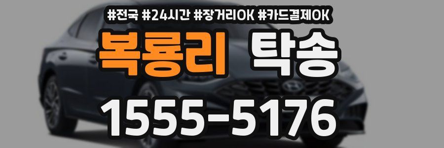 복룡리 탁송
