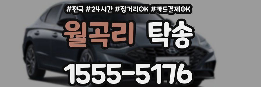 월곡리 탁송