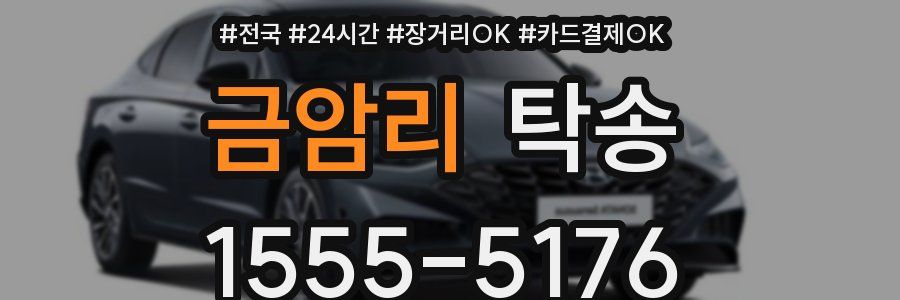 금암리 탁송