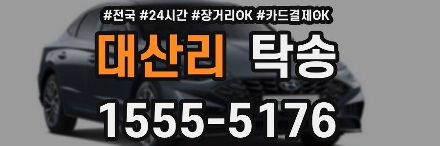 대산리 탁송