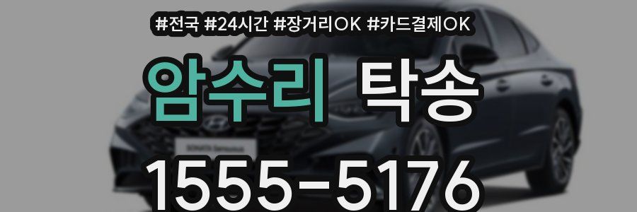 암수리 탁송