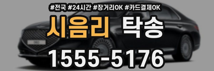시음리 탁송