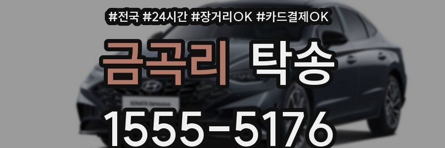 금곡리 탁송