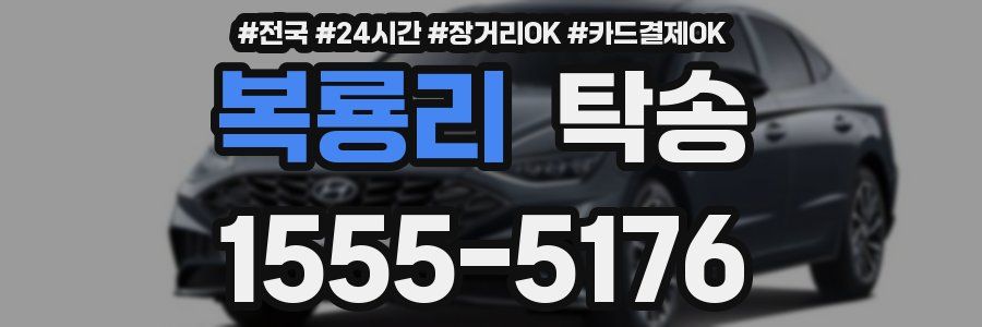 복룡리 탁송