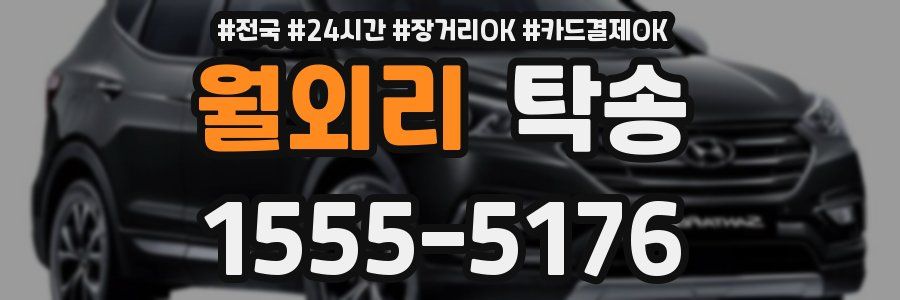월외리 탁송