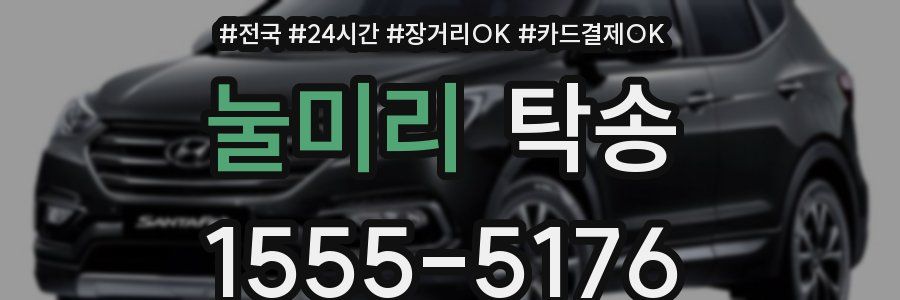 눌미리 탁송