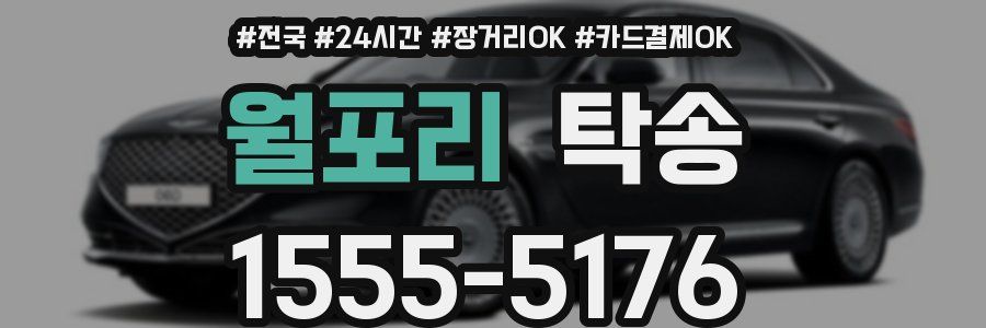 월포리 탁송