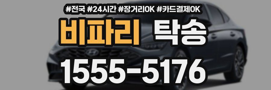 비파리 탁송
