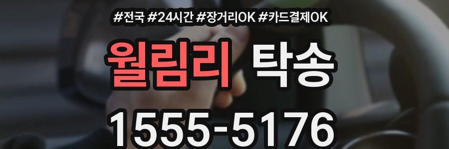 월림리 탁송