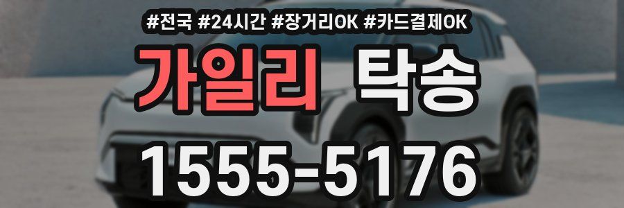 가일리 탁송