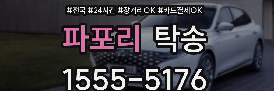 파포리 탁송