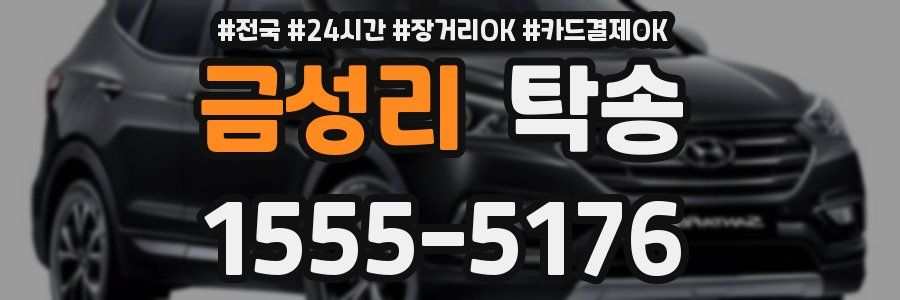 금성리 탁송