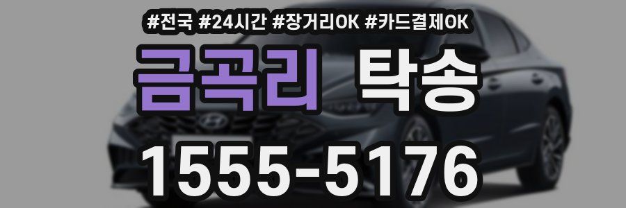 금곡리 탁송