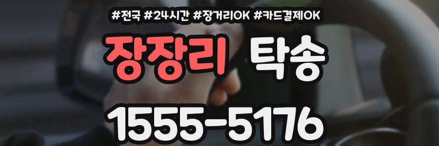 장장리 탁송