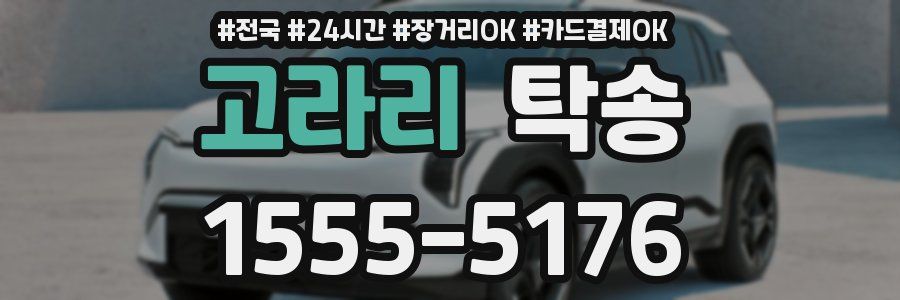 고라리 탁송