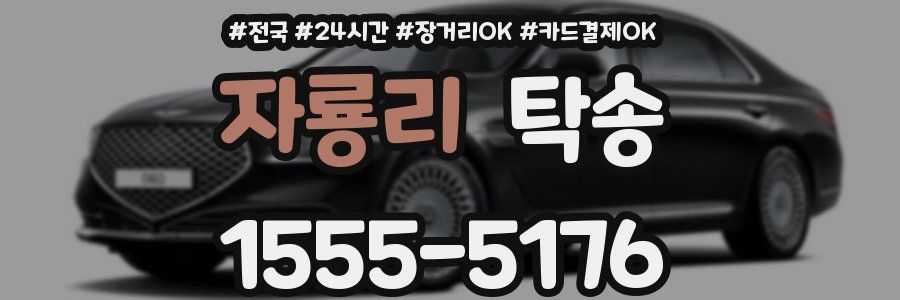 자룡리 탁송