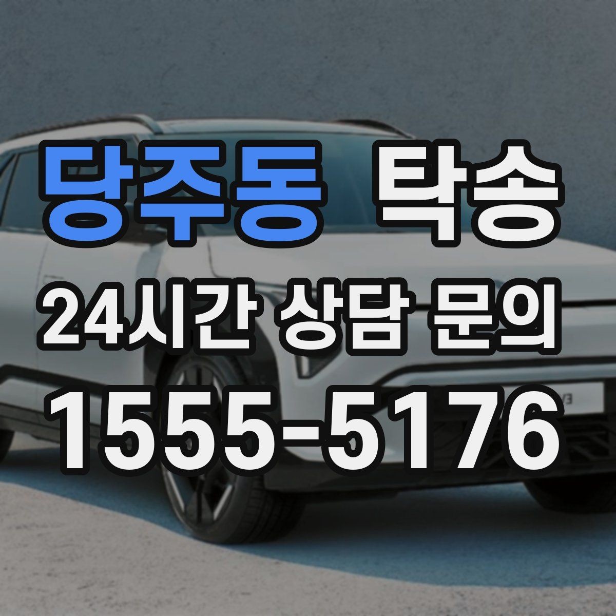 당주동 탁송 반려동물 동반 차량도 규정 내 진행