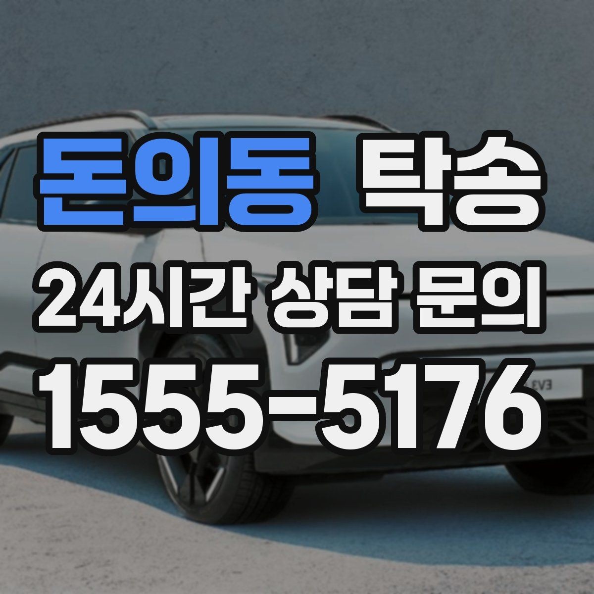 돈의동 탁송 반려동물 동반 차량도 규정 내 진행