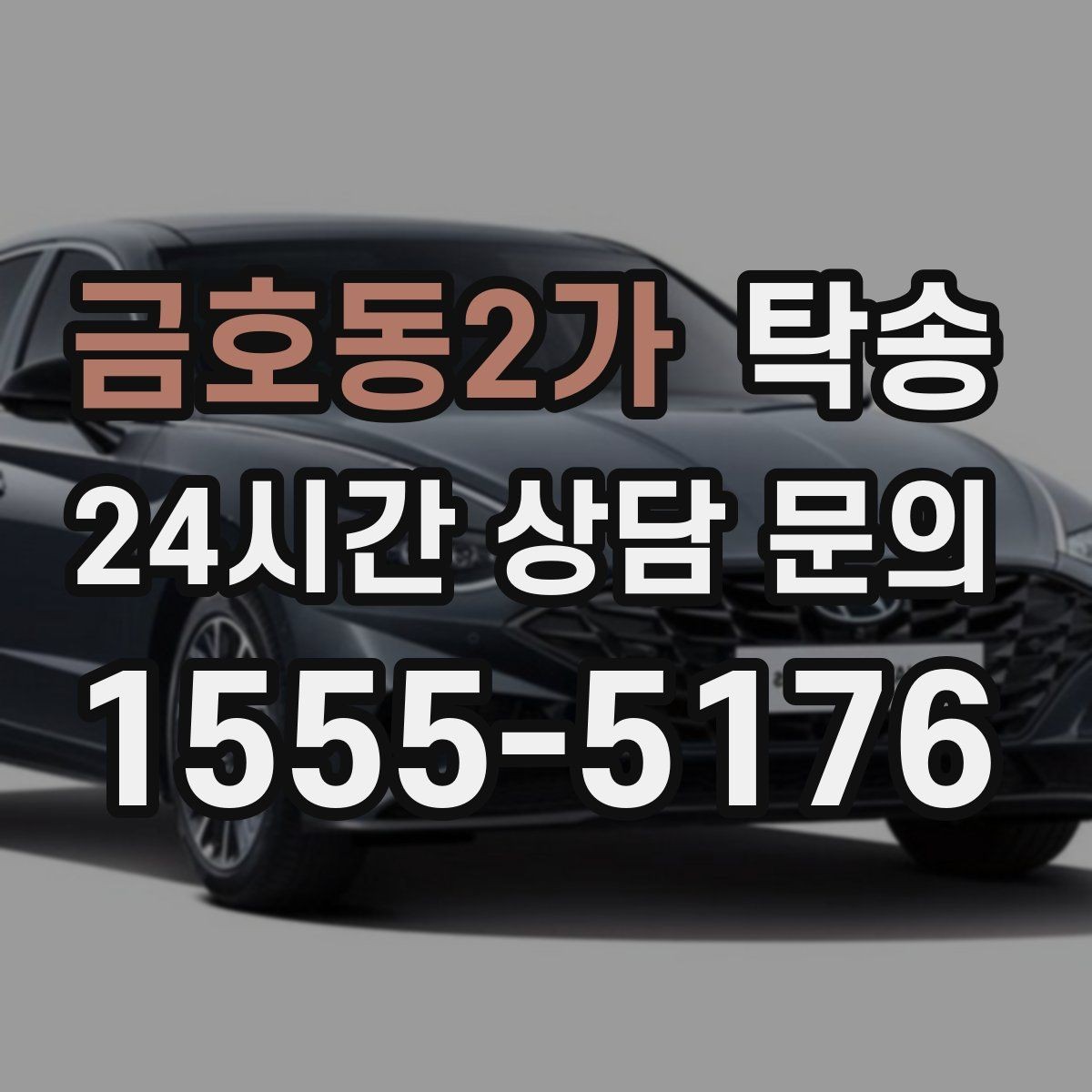 금호동2가 탁송 전시차 이동 하루 일정 매끄럽게 구성
