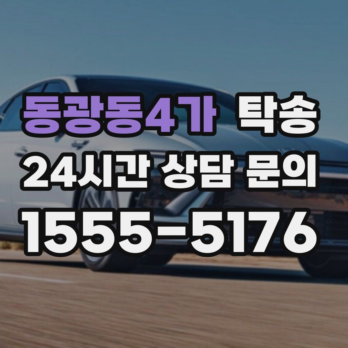 동광동4가 탁송 반려동물 동반 차량 사전 준비로 안전