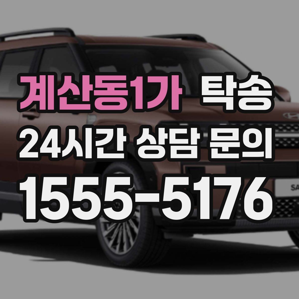 계산동1가 탁송 반려동물 동반 차량도 규정 내 진행