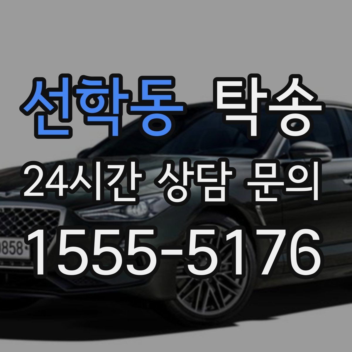 선학동 탁송 장거리 이전도 시간 약속을 지킵니다