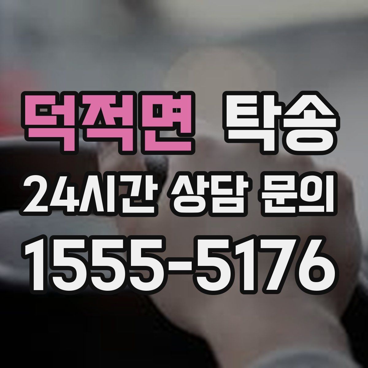덕적면 탁송 반려동물 동반 차량 규정 내 안전 진행