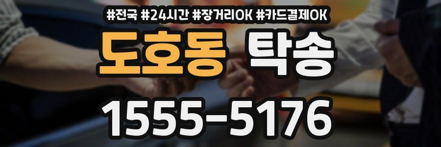 도호동 탁송