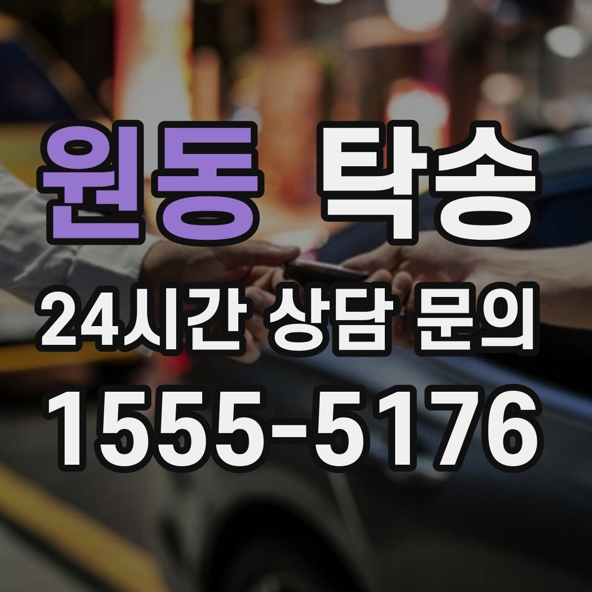원동 탁송 전시차 이동 하루 일정 맞춤
