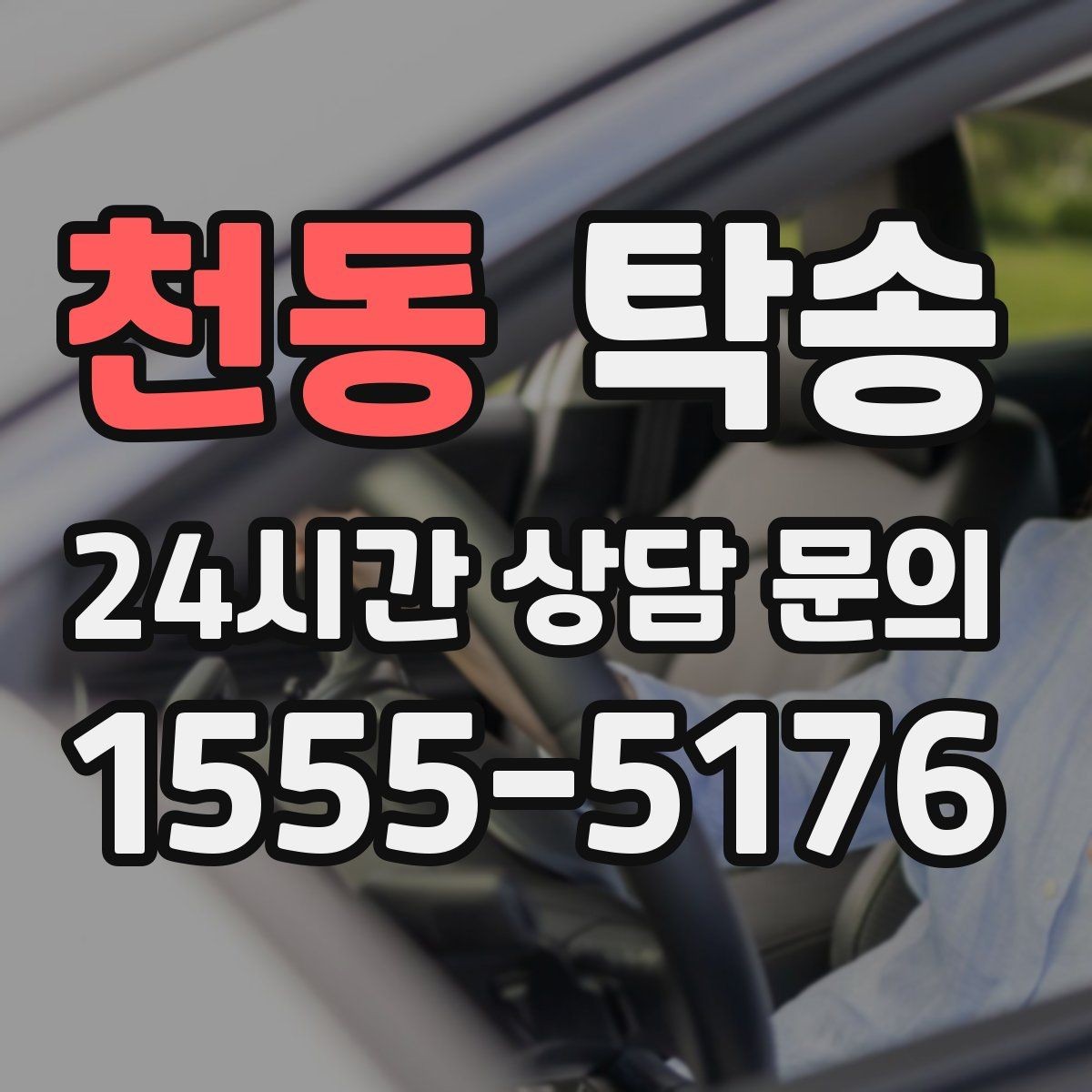 천동 탁송 반려동물 동반 차량 사전 준비로 안전
