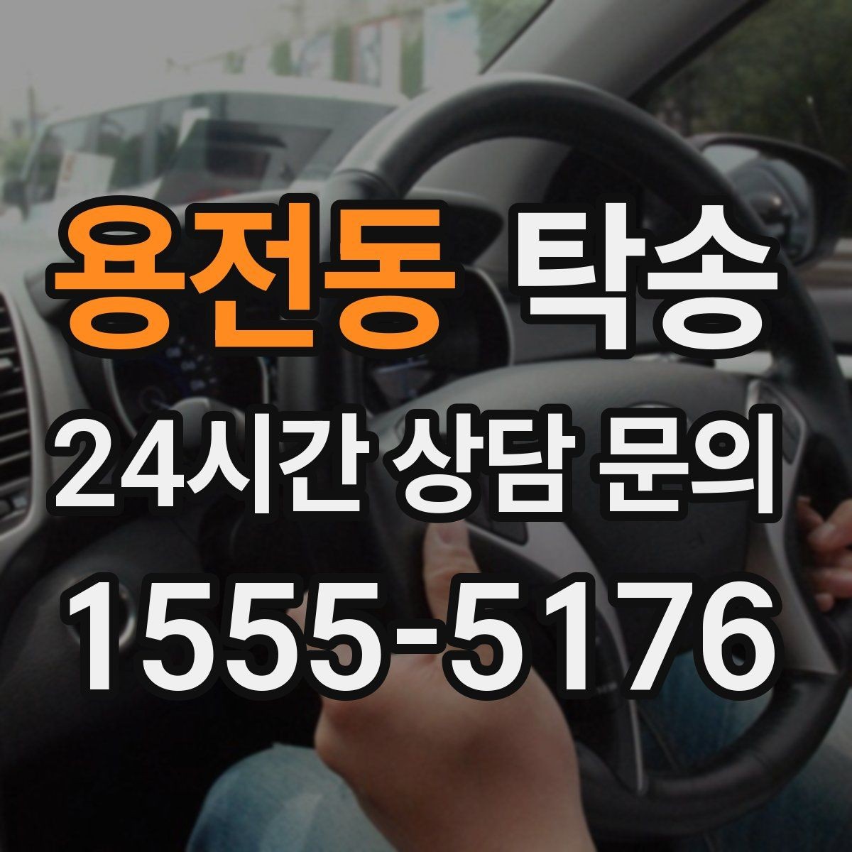 용전동 탁송 반려동물 동반 차량 사전 준비로 안전