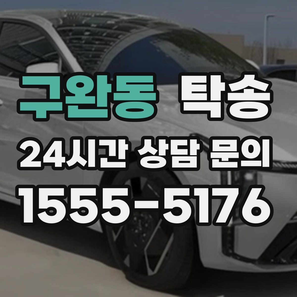 구완동 탁송 반려동물 동반 차량도 규정 내 진행