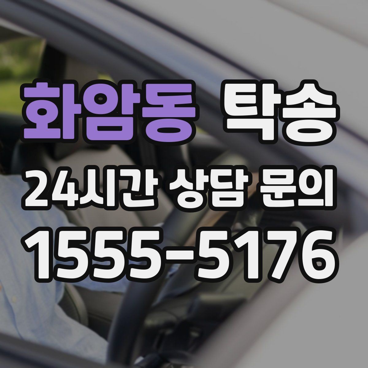 화암동 탁송 반려동물 동반 차량도 규정 내 진행