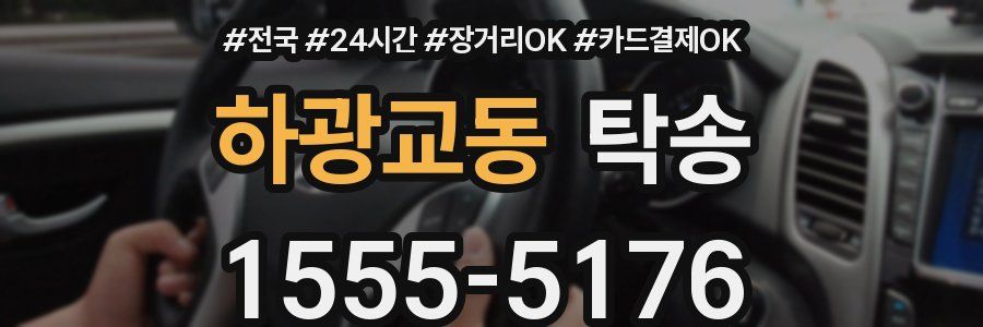 하광교동 탁송